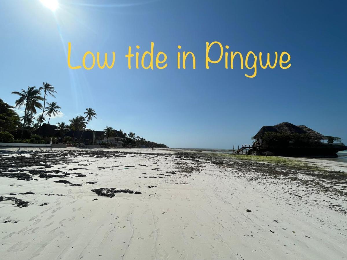 Tropical Boutique Hotel & Resto Pingwe Exterior photo
